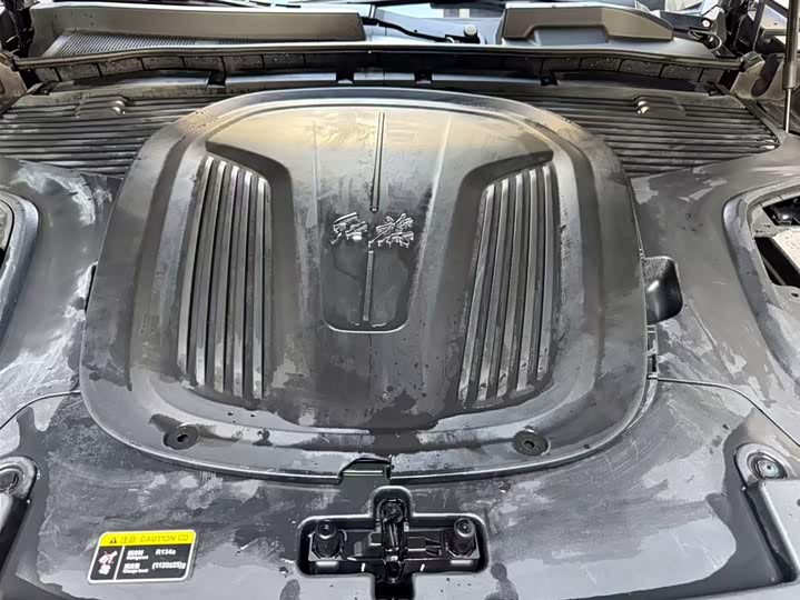 Фото 7 - Hongqi E-HS9