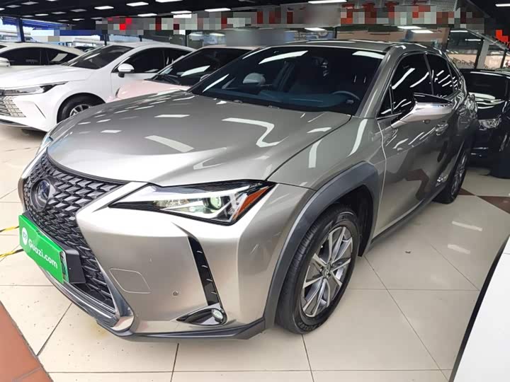 Фото 1 - Lexus UX Hybrid