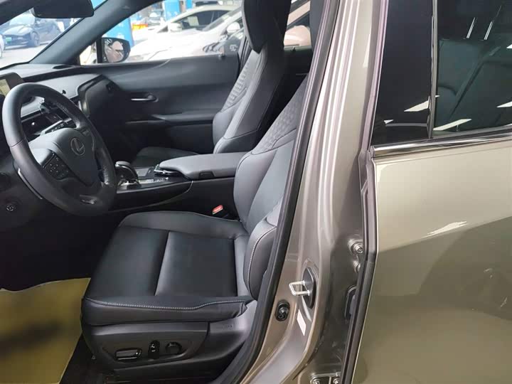 Фото 15 - Lexus UX Hybrid