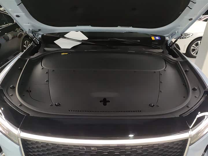 Фото 20 - LiXiang One