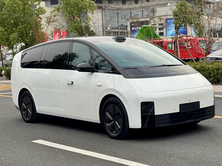 Фото 3 - LiXiang Mega