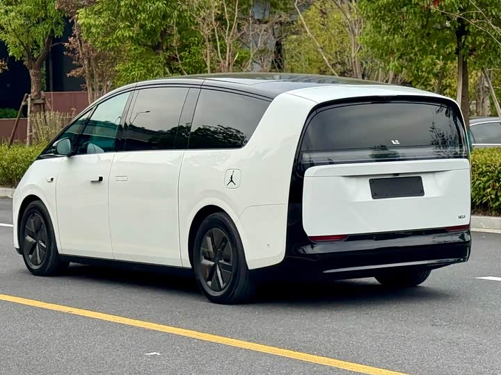 Фото 5 - LiXiang Mega