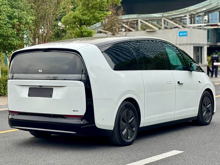 Фото 6 - LiXiang Mega