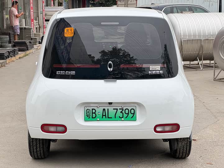 Фото 4 - Ora White Cat