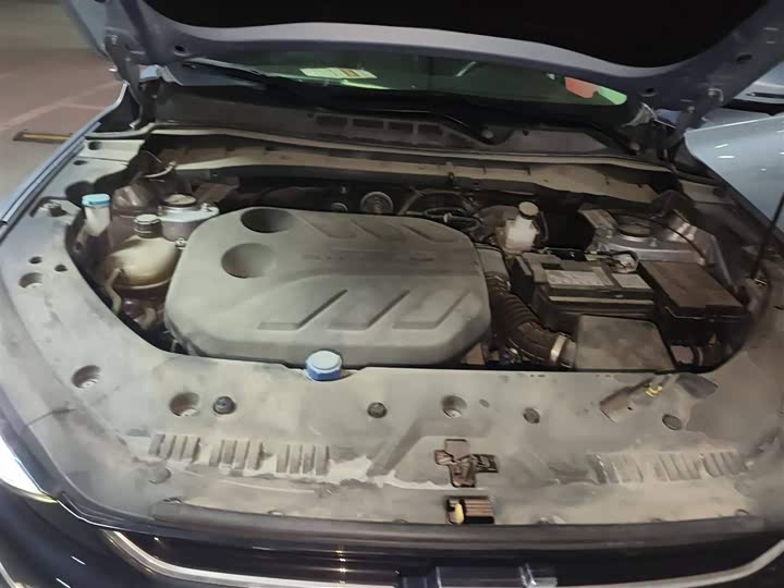 Фото 11 - Changan Oshan X7 Plus