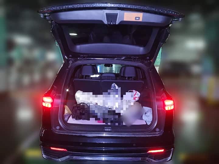 Фото 10 - Geely Monjaro