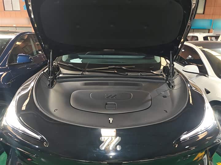 Фото 20 - IM motors LS6