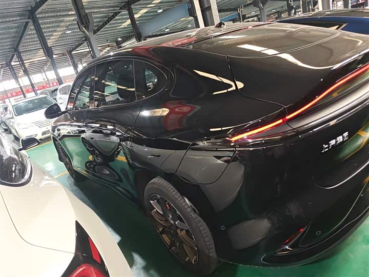 Фото 5 - IM motors LS6