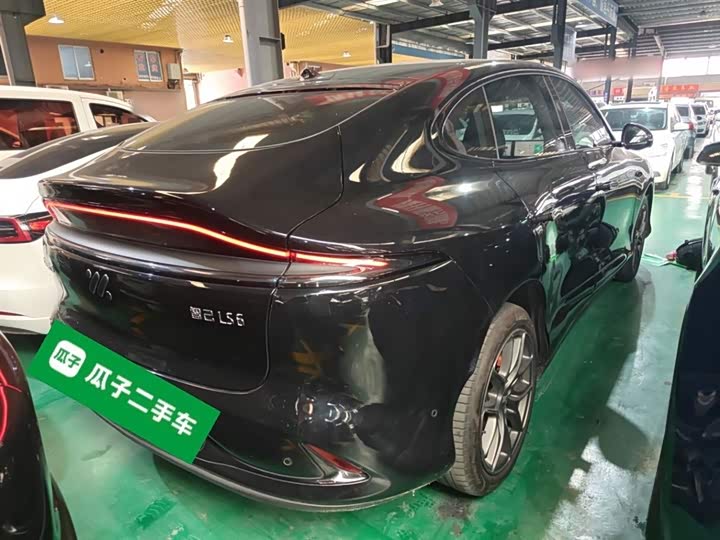 Фото 7 - IM motors LS6