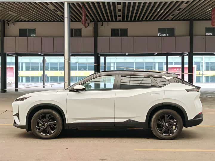 Фото 7 - Dongfeng Aeolus L7