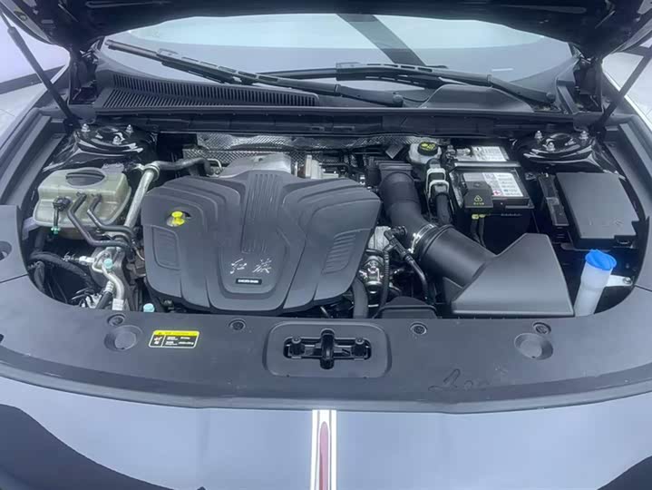 Фото 10 - Hongqi H5