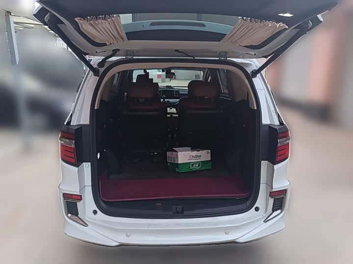 Фото 10 - Honda Elysion