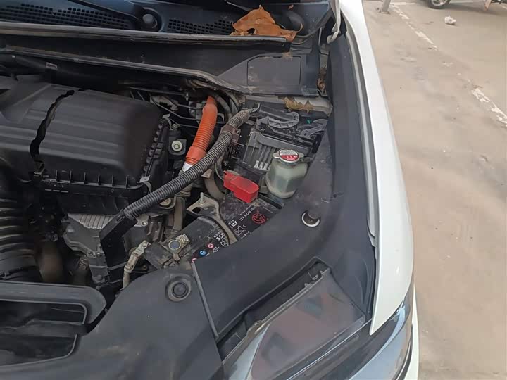 Фото 22 - Honda Elysion