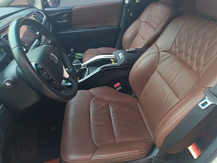 Фото 8 - Honda Elysion