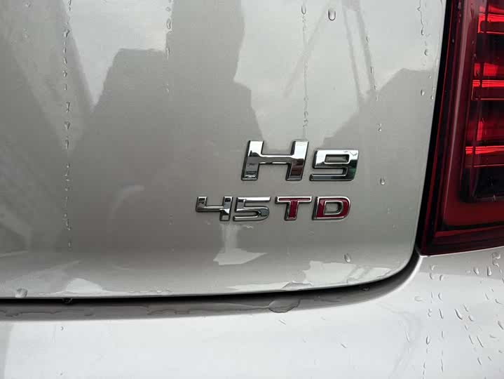 Фото 14 - Hongqi H9