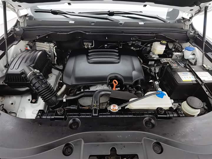 Фото 6 - Great Wall Pao