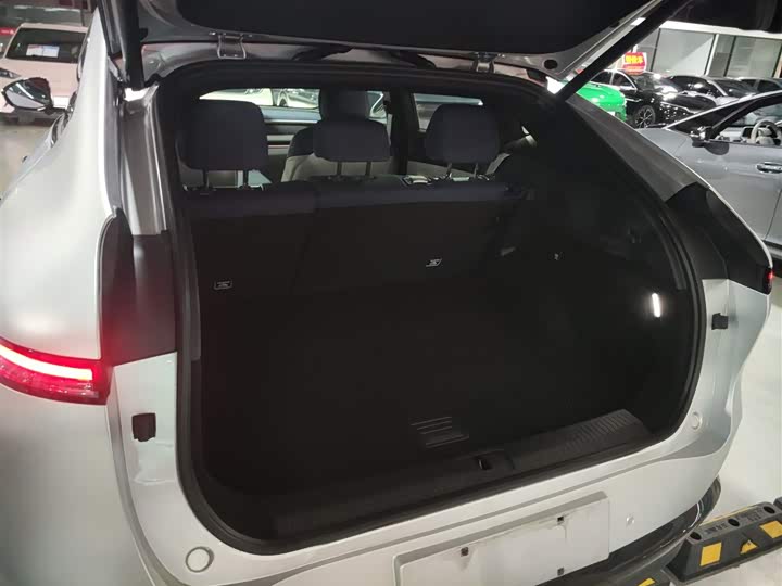 Фото 19 - XPeng G6