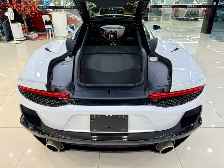 Фото 12 - McLaren GT