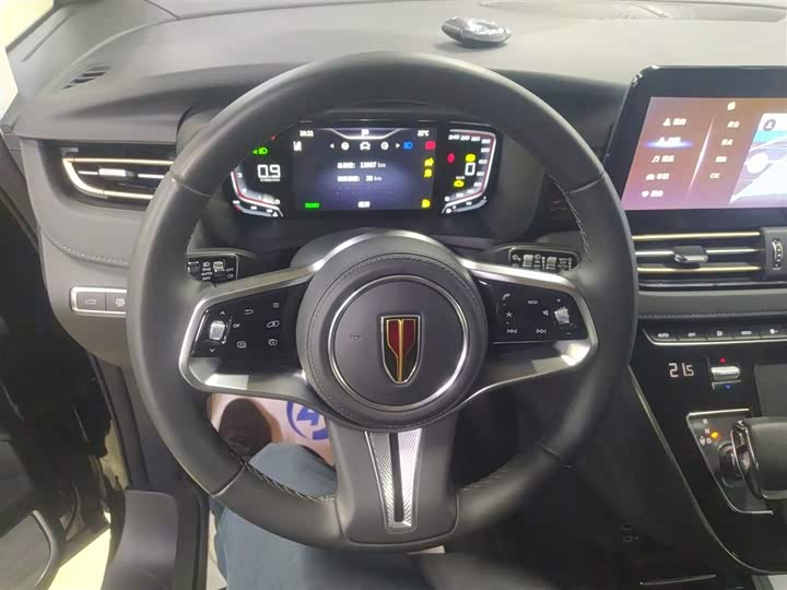 Фото 11 - Hongqi HQ9