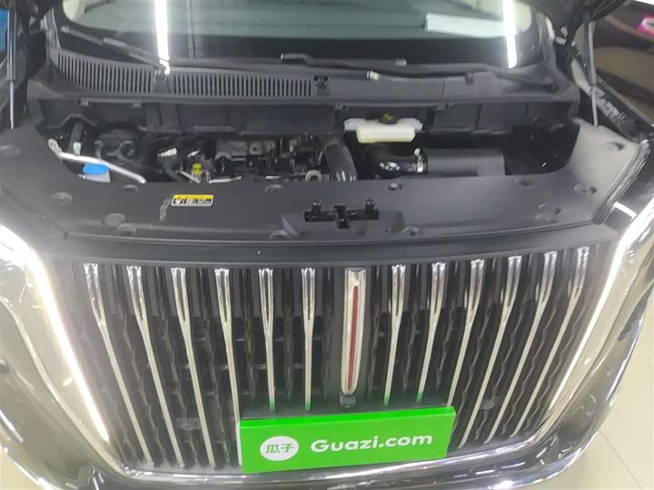 Фото 20 - Hongqi HQ9