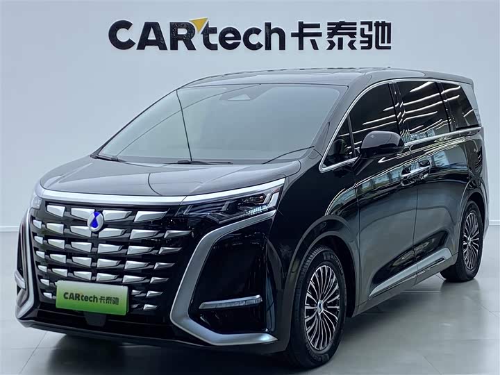 Фото 1 - Denza D9