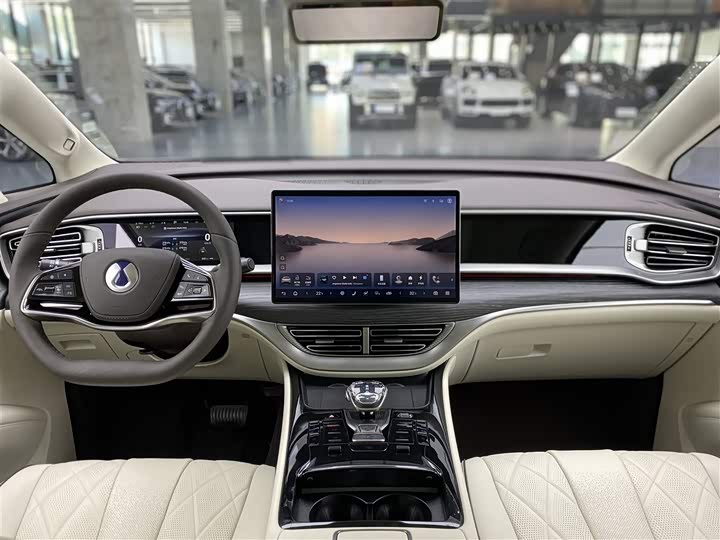 Фото 11 - Denza D9