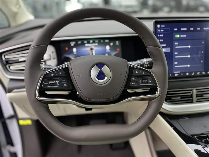 Фото 13 - Denza D9