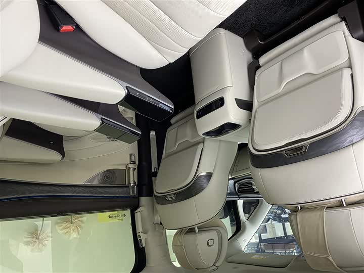 Фото 15 - Denza D9