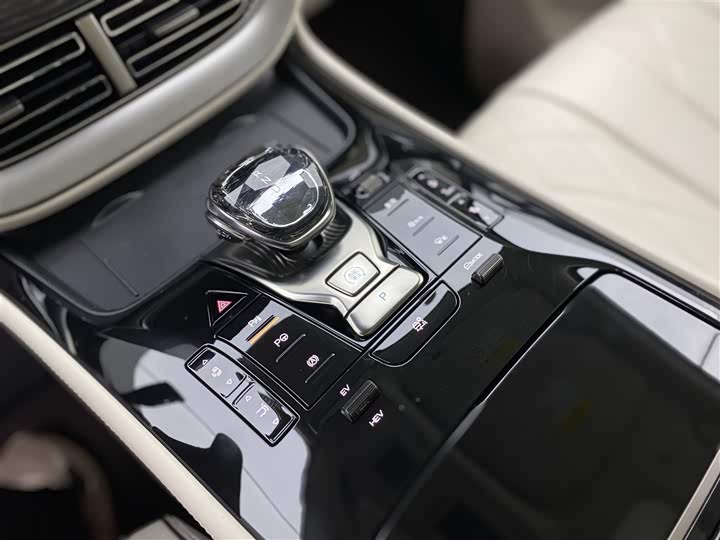 Фото 23 - Denza D9