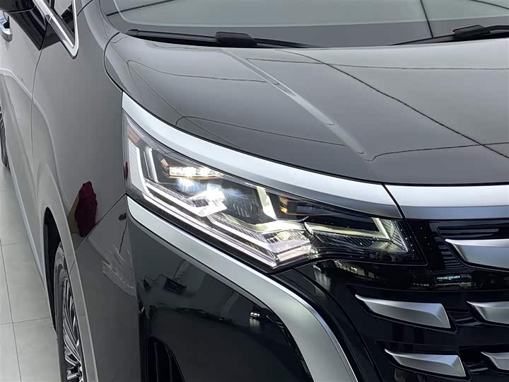 Фото 26 - Denza D9