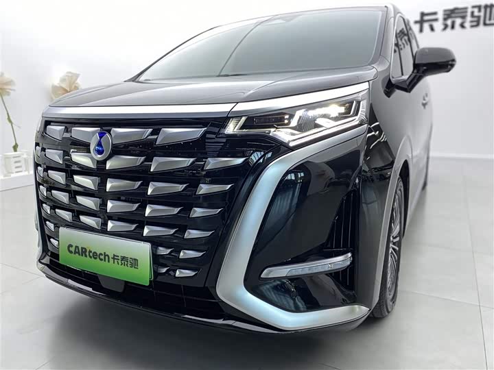 Фото 28 - Denza D9