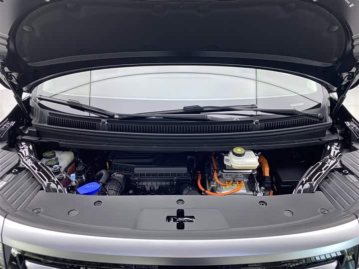 Фото 30 - Denza D9