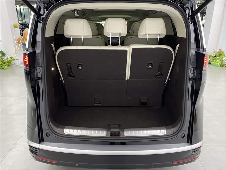 Фото 31 - Denza D9