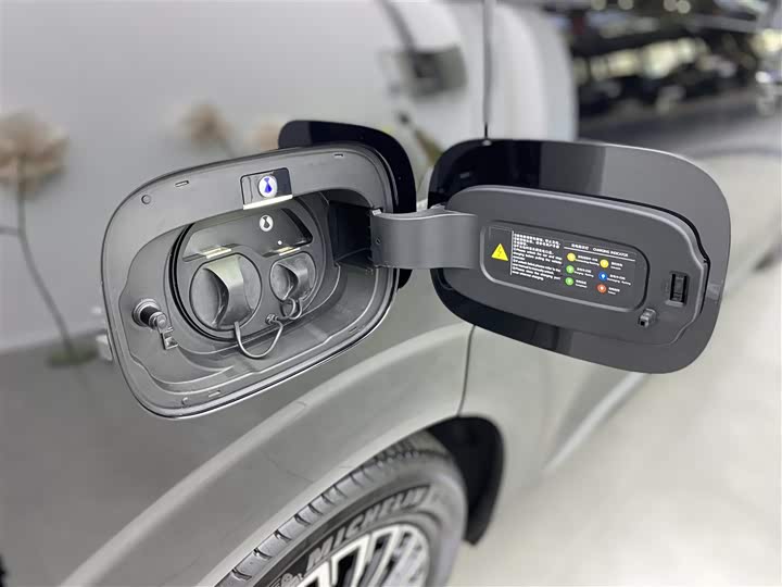 Фото 33 - Denza D9