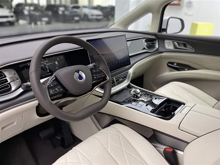 Фото 6 - Denza D9