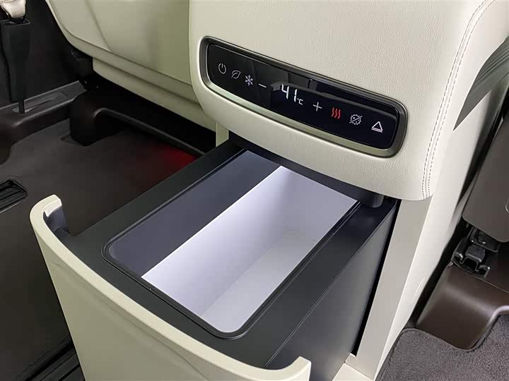 Фото 8 - Denza D9