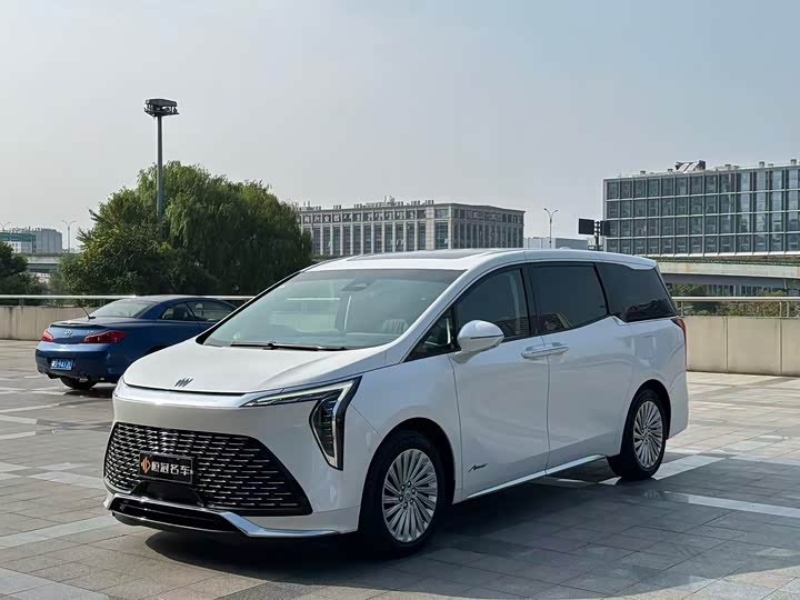 Фото 1 - Buick GL8 Century