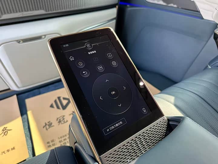 Фото 13 - Buick GL8 Century