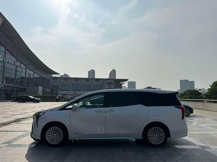 Фото 5 - Buick GL8 Century