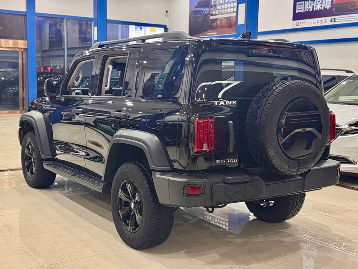 Фото 3 - Tank 300