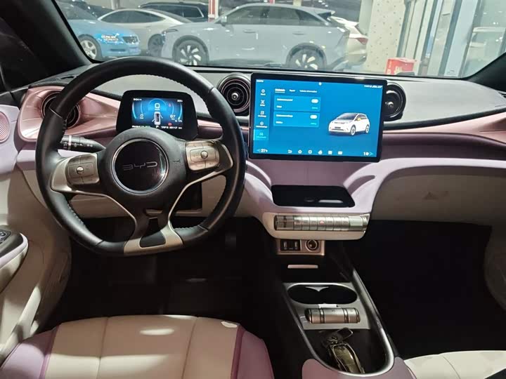 Фото 10 - BYD Dolphin