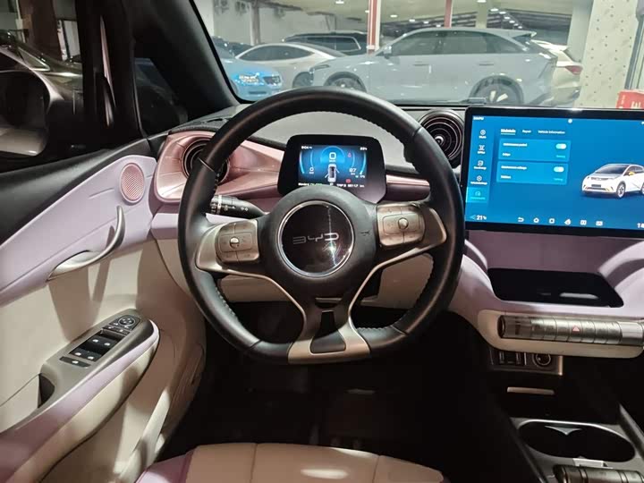 Фото 11 - BYD Dolphin