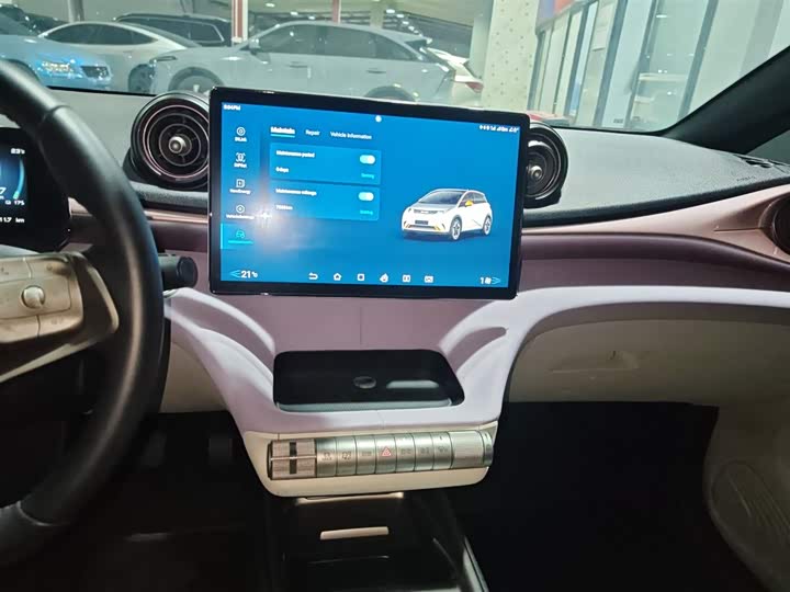 Фото 13 - BYD Dolphin