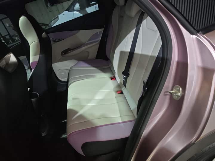 Фото 17 - BYD Dolphin