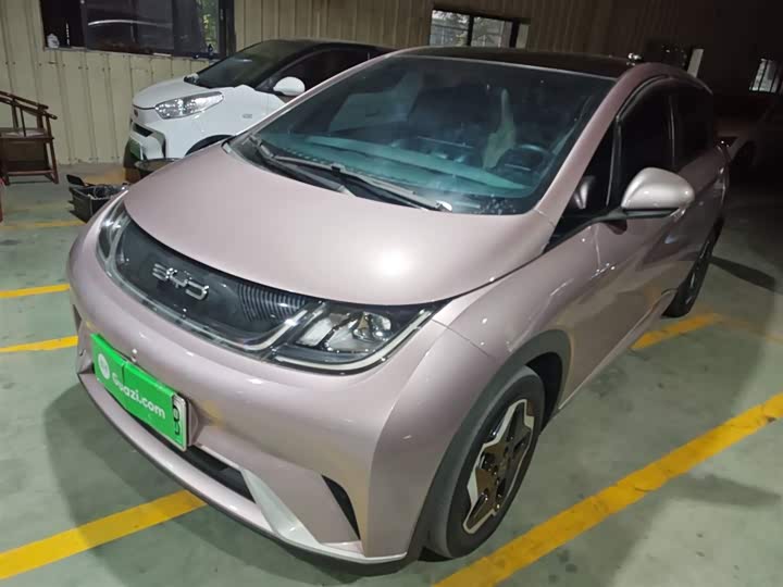 Фото 2 - BYD Dolphin