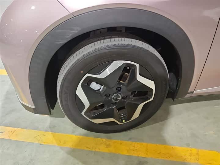 Фото 23 - BYD Dolphin