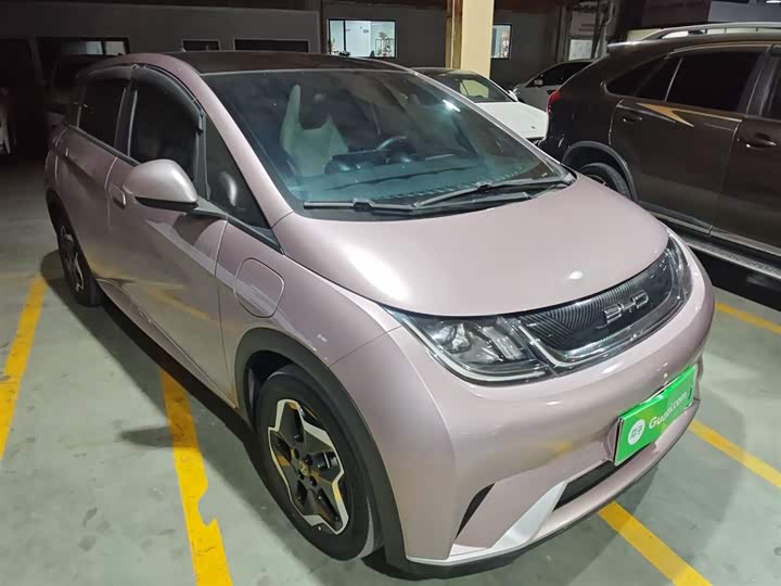 Фото 4 - BYD Dolphin