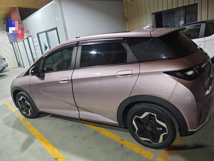 Фото 5 - BYD Dolphin