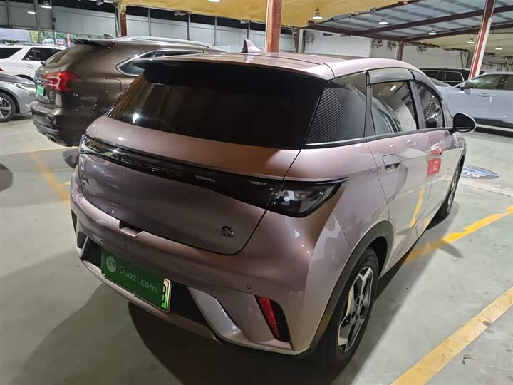 Фото 7 - BYD Dolphin