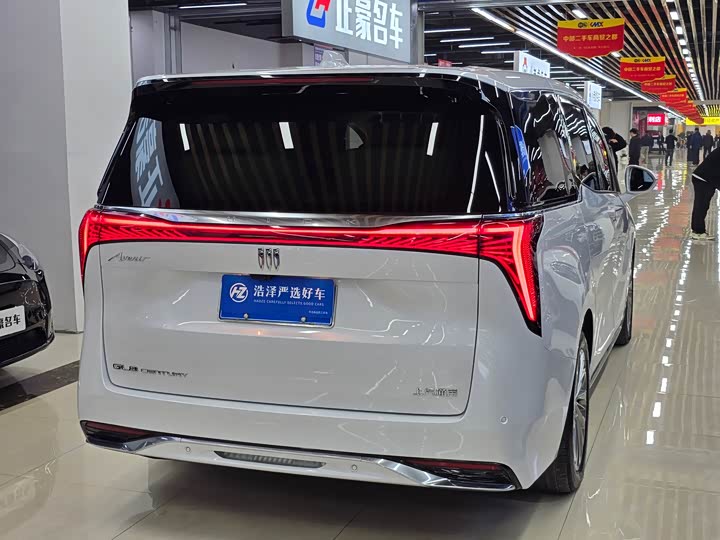 Фото 4 - Buick GL8 Century